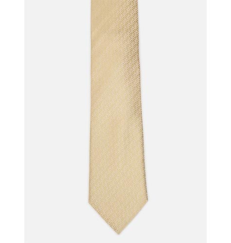 Men Beige Woven Design Skinny Tie